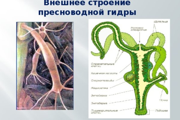 Кракен ссылки тор рабочая