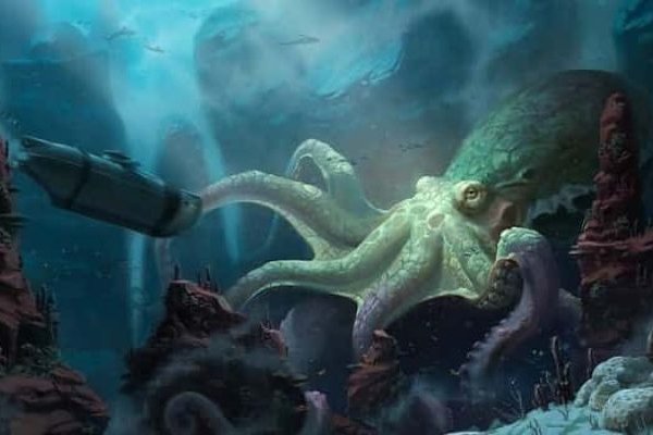 Kraken 12at