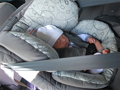 Почему новорожденных нельзя перевозить в автомобиле 